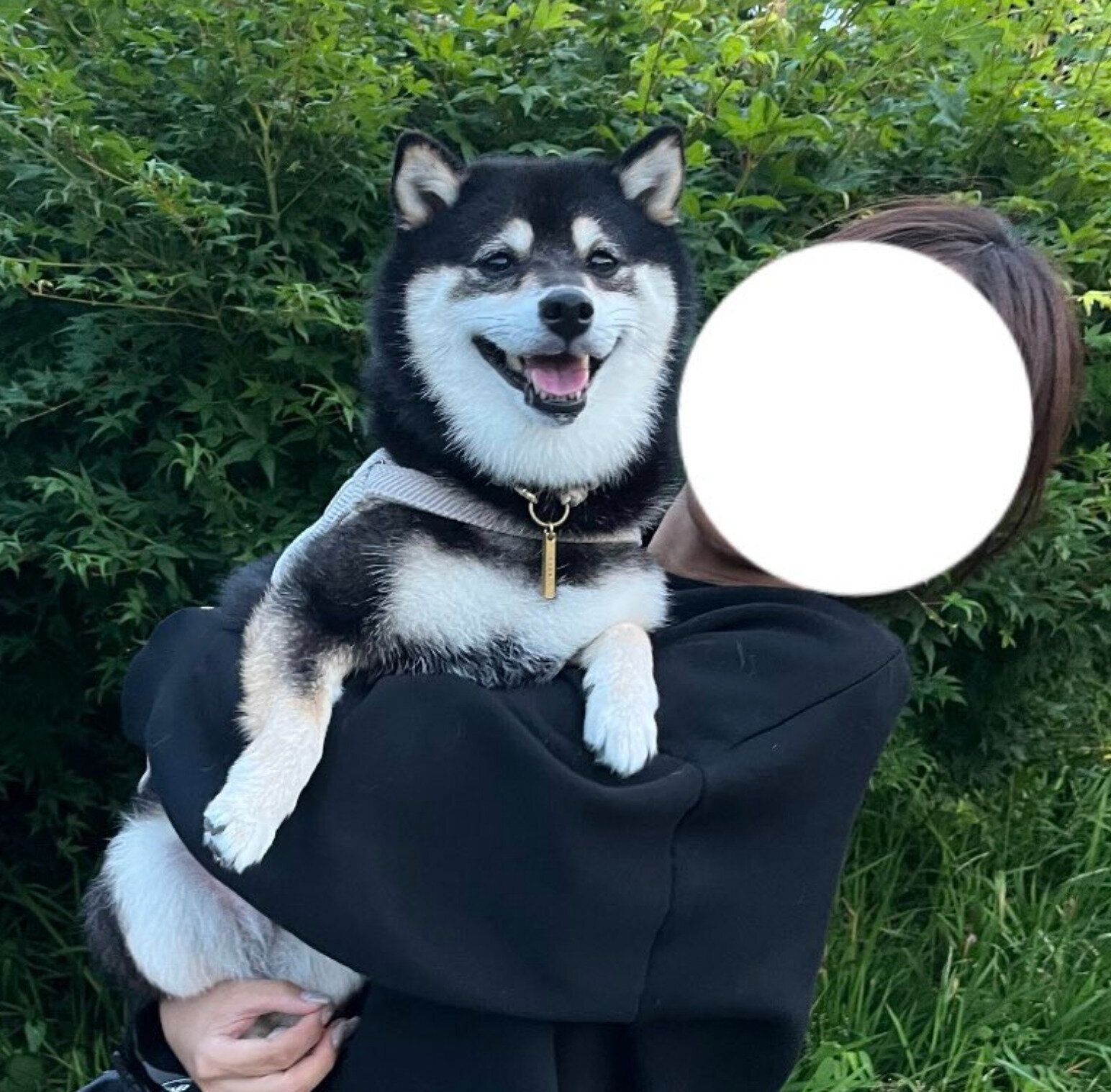 ニコニコ笑顔を見せるそらちゃん