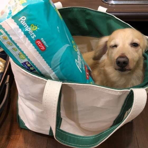 ケンシロウちゃん