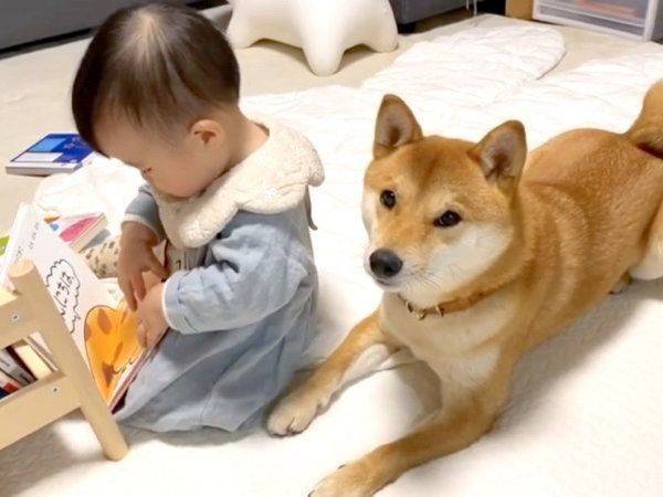 子守をするりんご郎くん