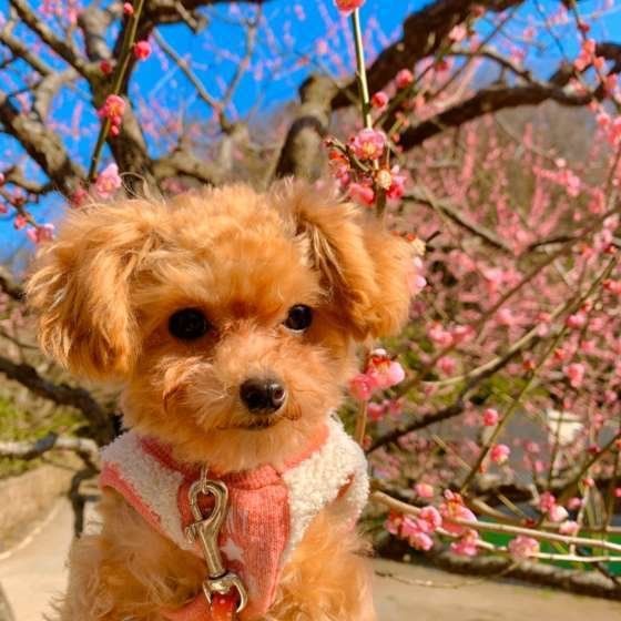 皮膚の病気は春から増える？カユカユにならない予防方法