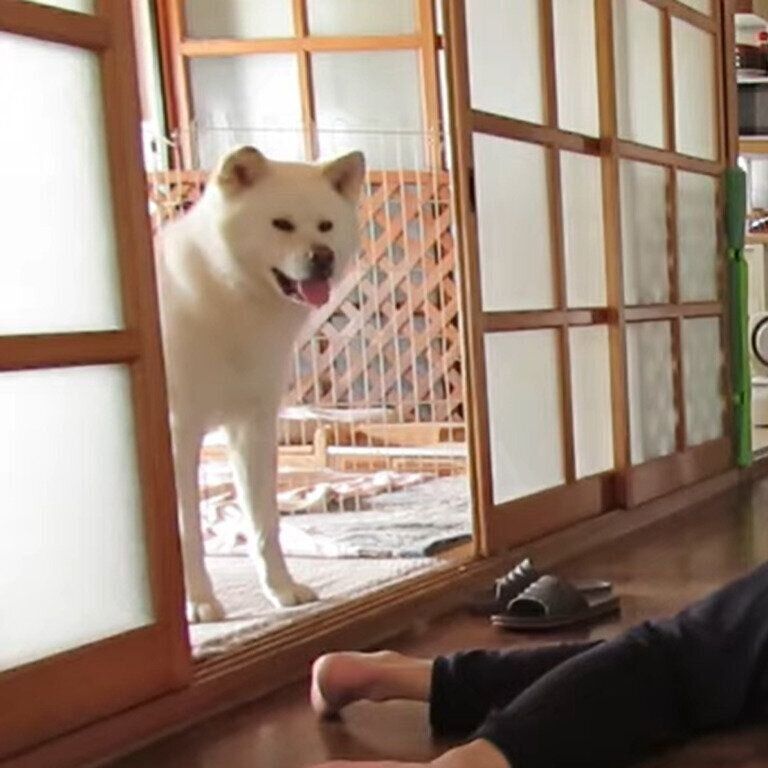 無反応なゆうきくん