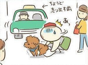連載「こぐま犬てんすけ」