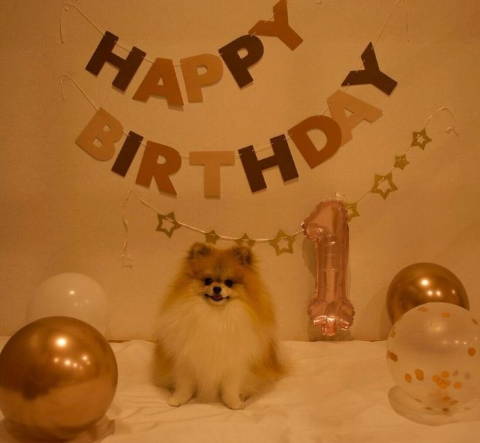 1才の誕生日を迎えたはるこちゃん。