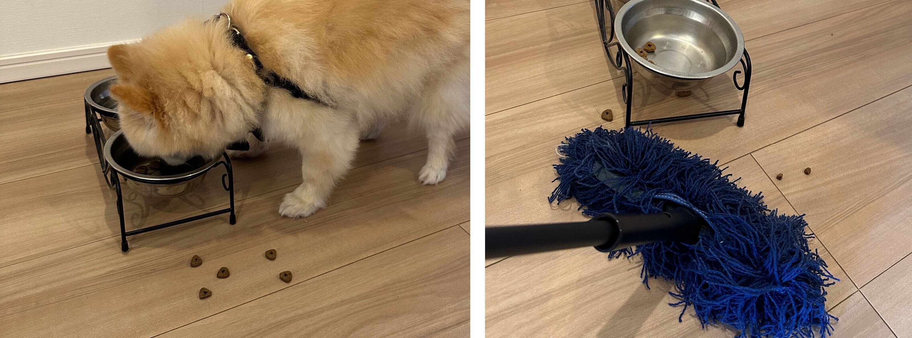 ダスキン　ペット専用モップセット　犬　抜け毛　換毛期　ペット用フロアモップ　モップクリーナー　ホコリ　フローロングの掃除