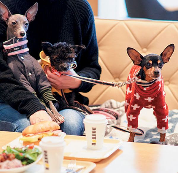 写真／吉田篤史