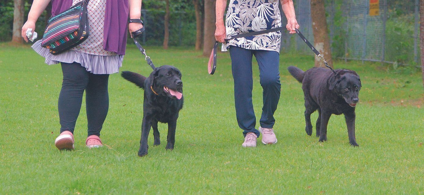 現在オッティーちゃんは週に２回程度、お気に入りの公園で散歩を楽しみます。公園に着くまではカートを利用。80才になるお母様もしっかりした足取りで散歩に同行