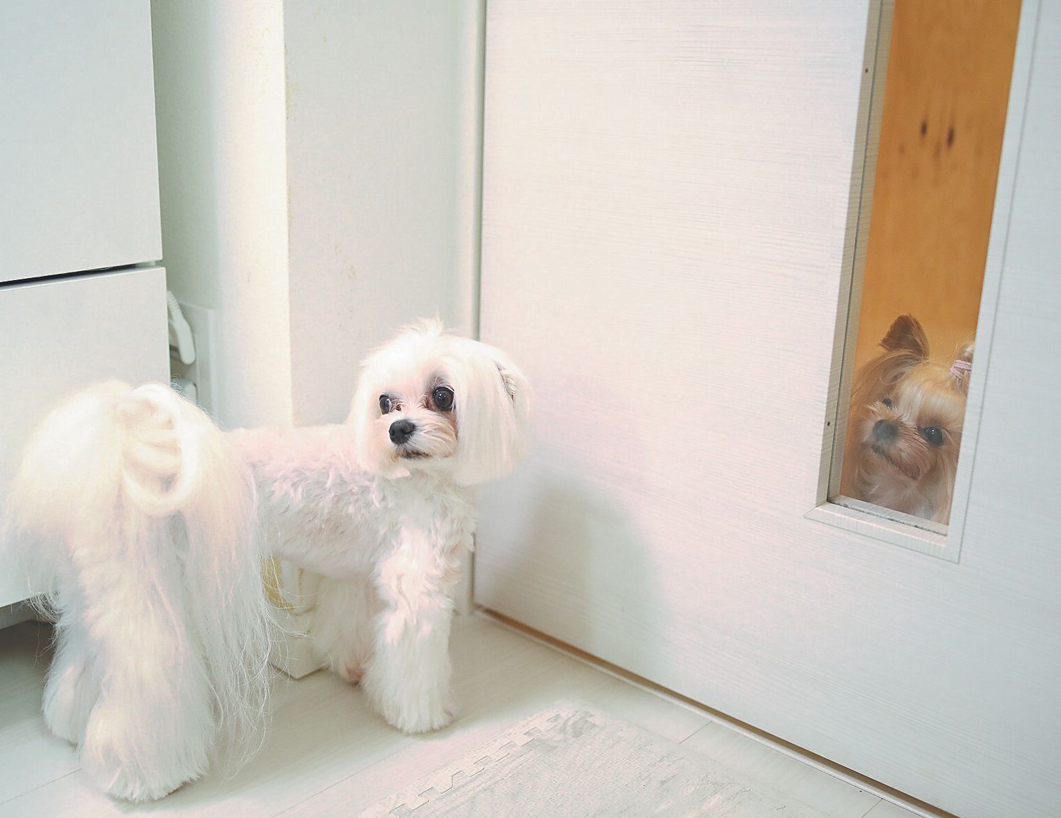 撮影／尾﨑たまき