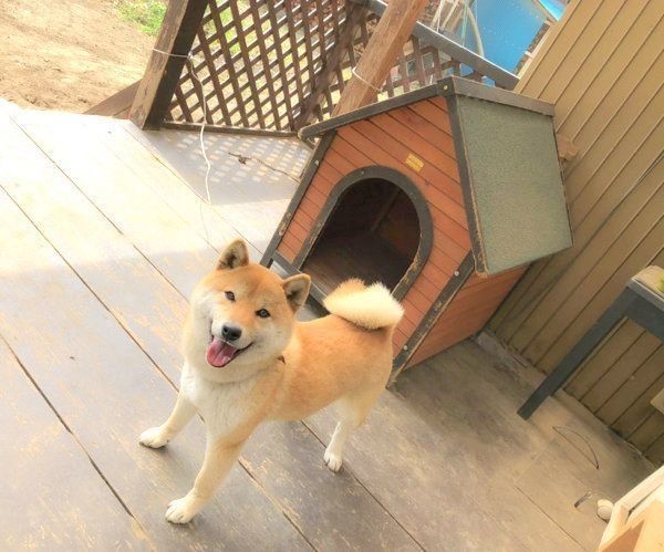 笑顔のそらくん