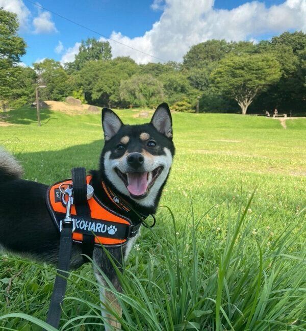 笑顔の心陽ちゃん