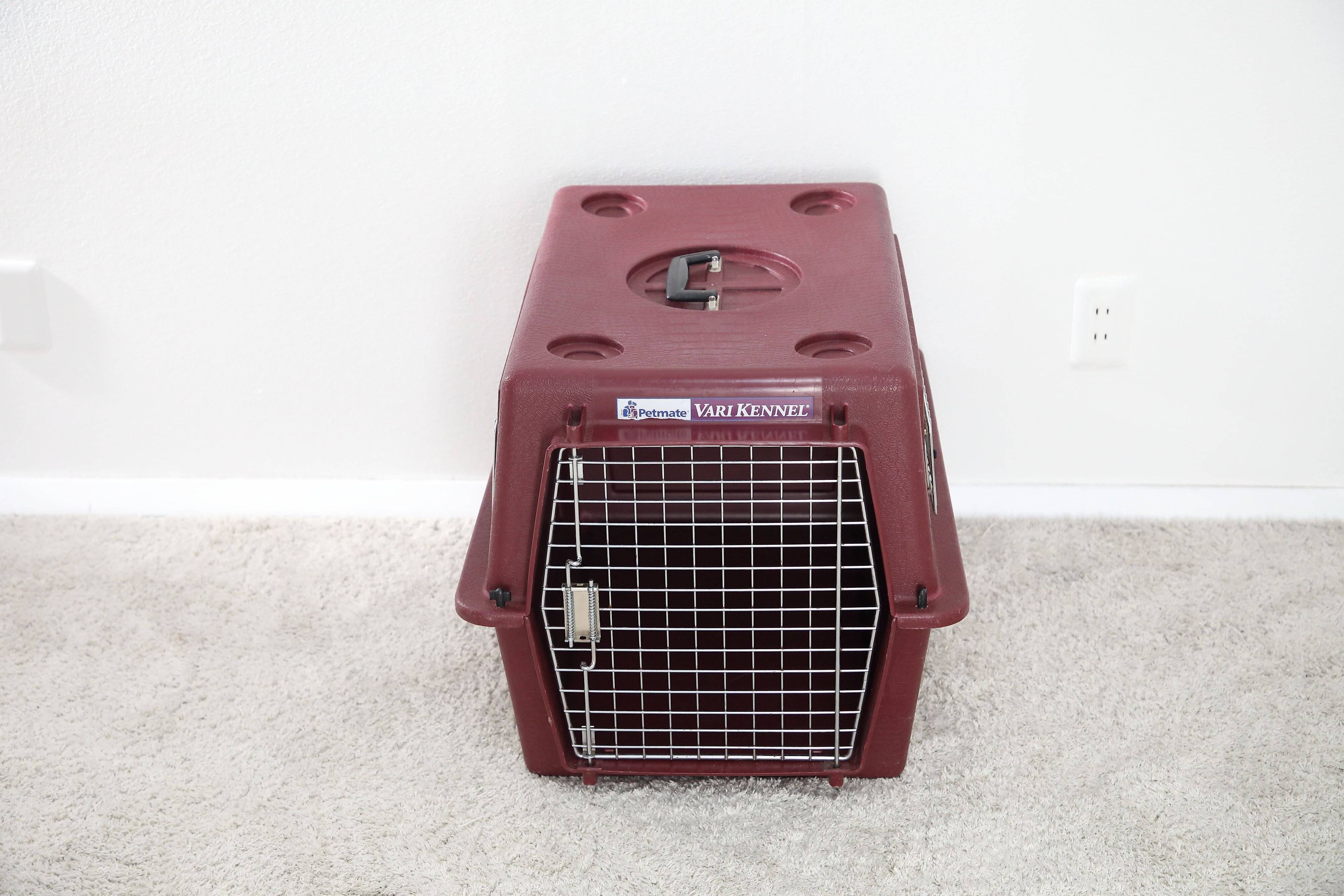 撮影／尾﨑たまき