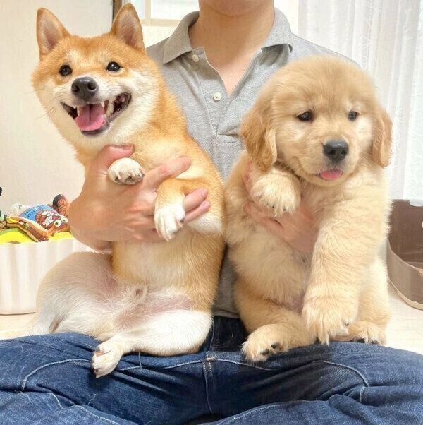 うにくんとおからちゃん