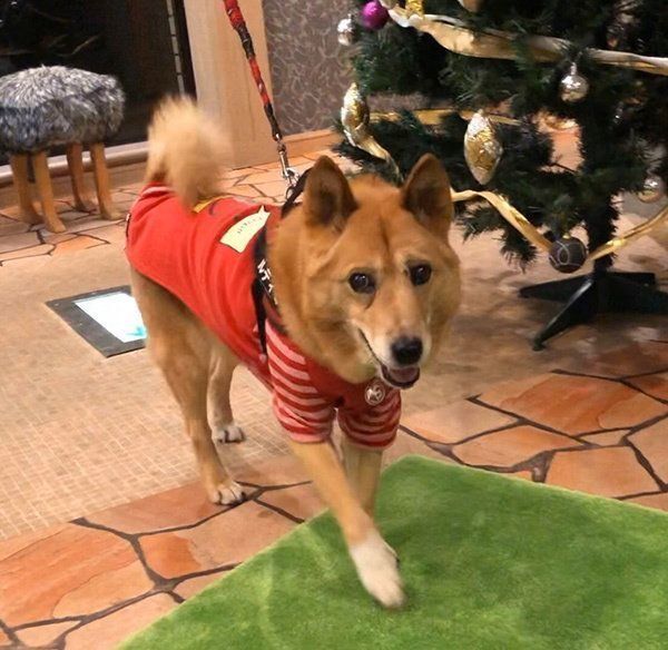 笑顔で歩くルーさん