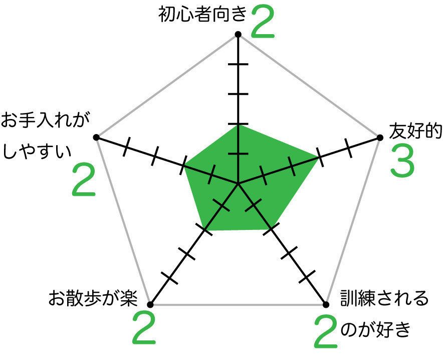 バーニーズ・マウンテン・ドッグ