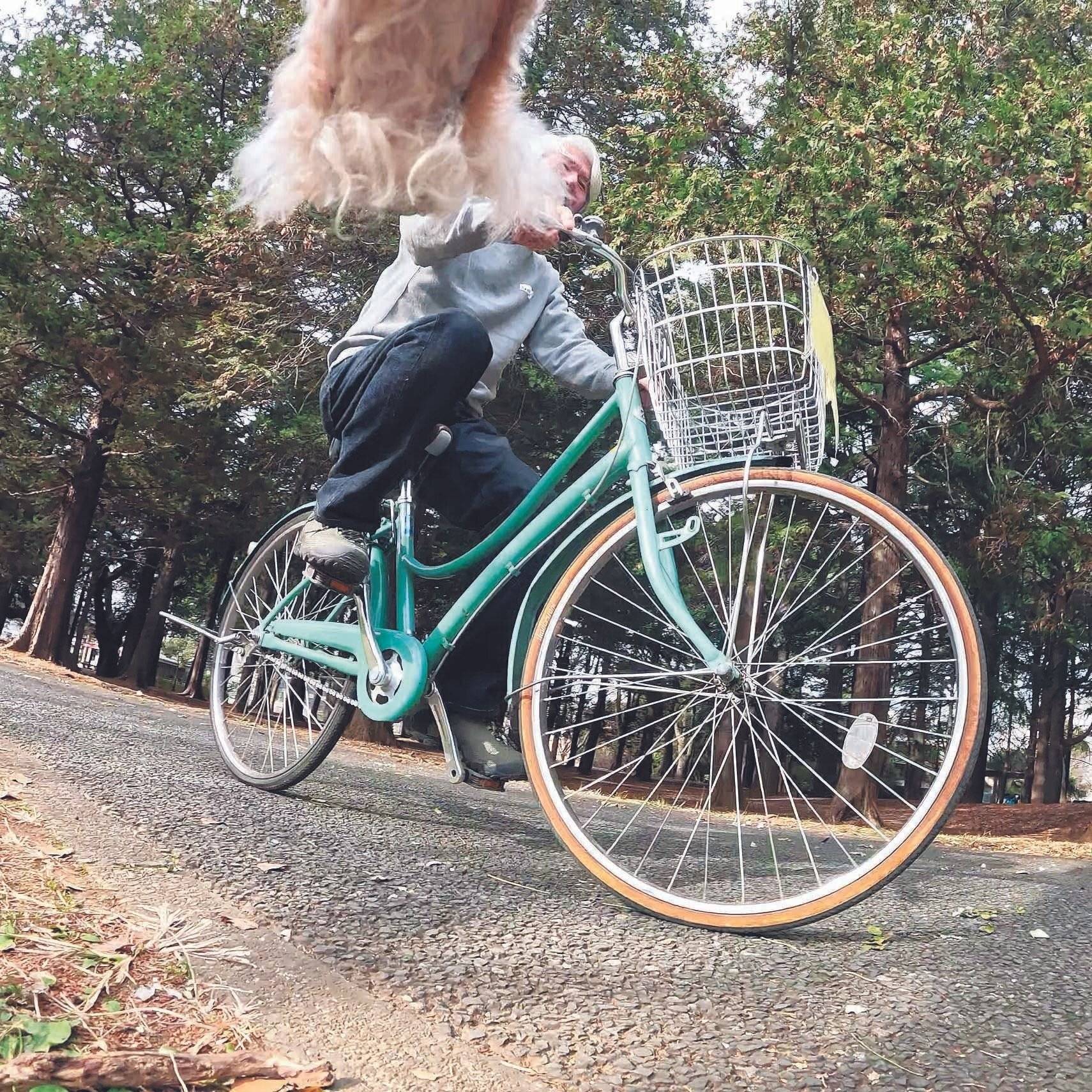 犬にとっては大車輪！