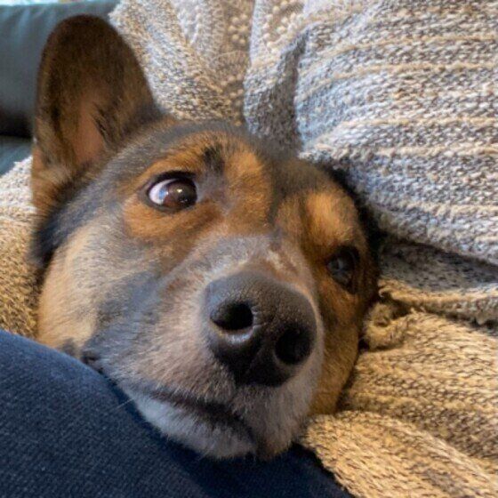 甘えん坊なウニちゃん