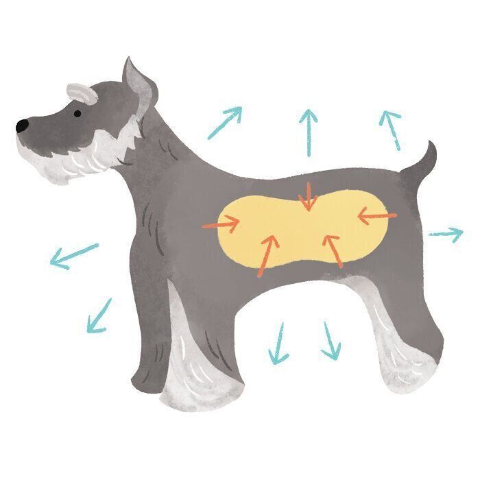 そもそも分泌物とは