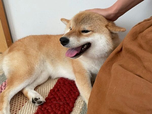 嬉しそうなマヤちゃん