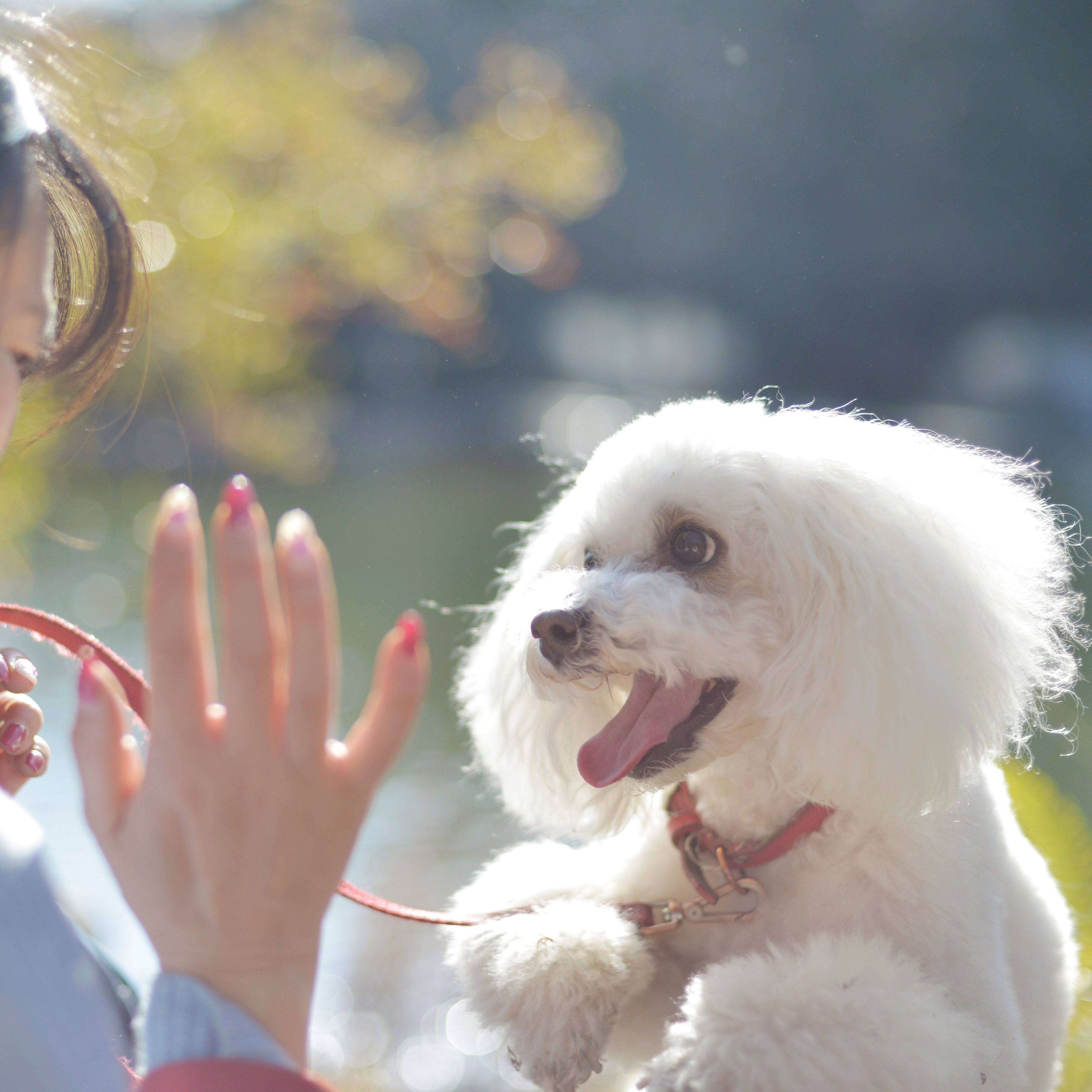 撮影／犬丸美絵