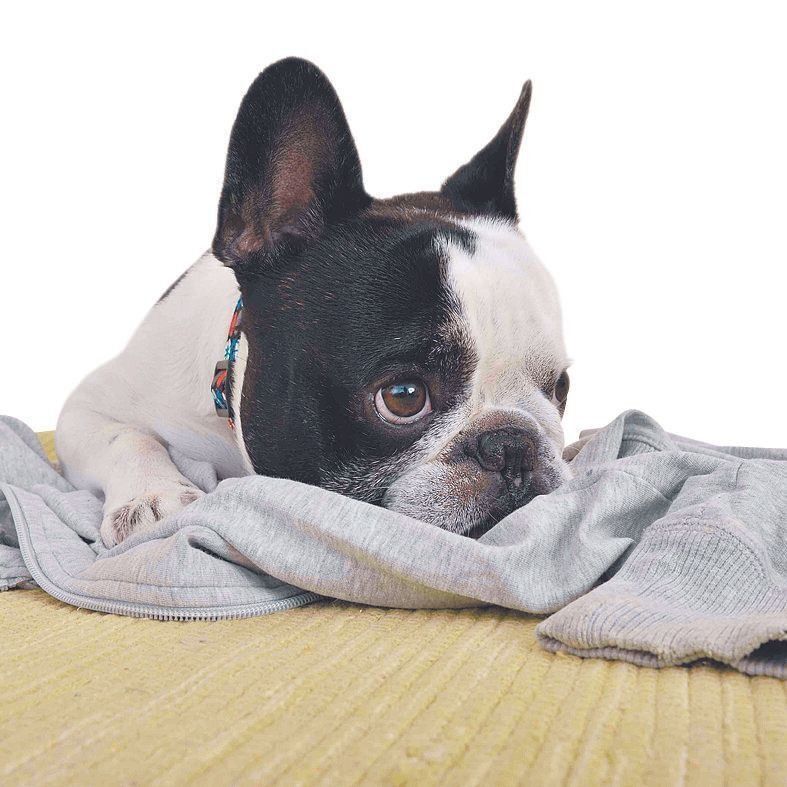 周囲の様子を上目づかいでうかがうことも