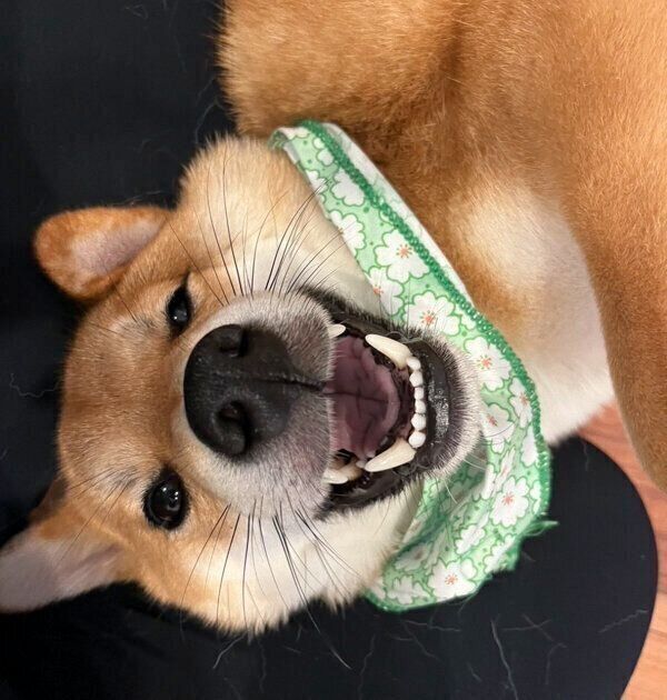 笑顔が可愛い大豆くん