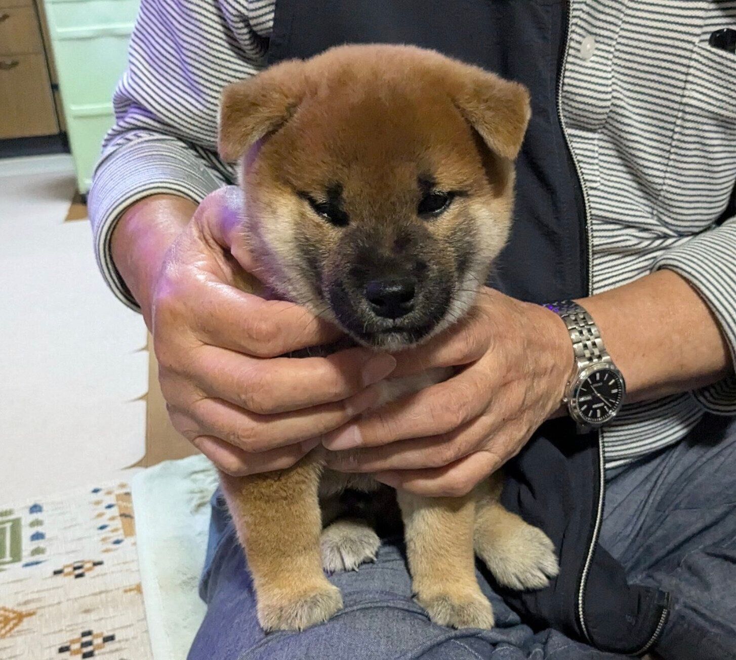 お迎え当時の竜太くん