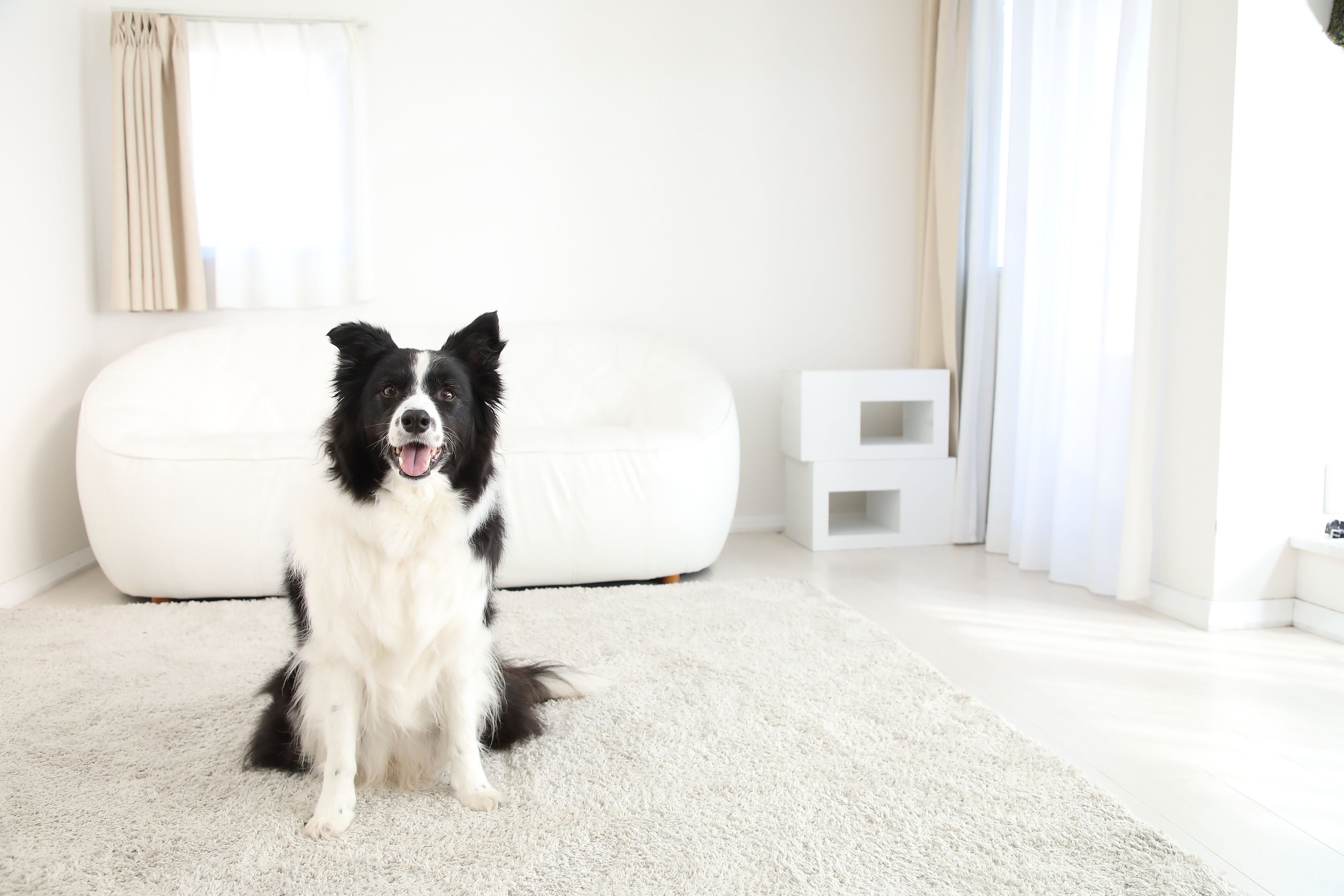 撮影／尾﨑たまき