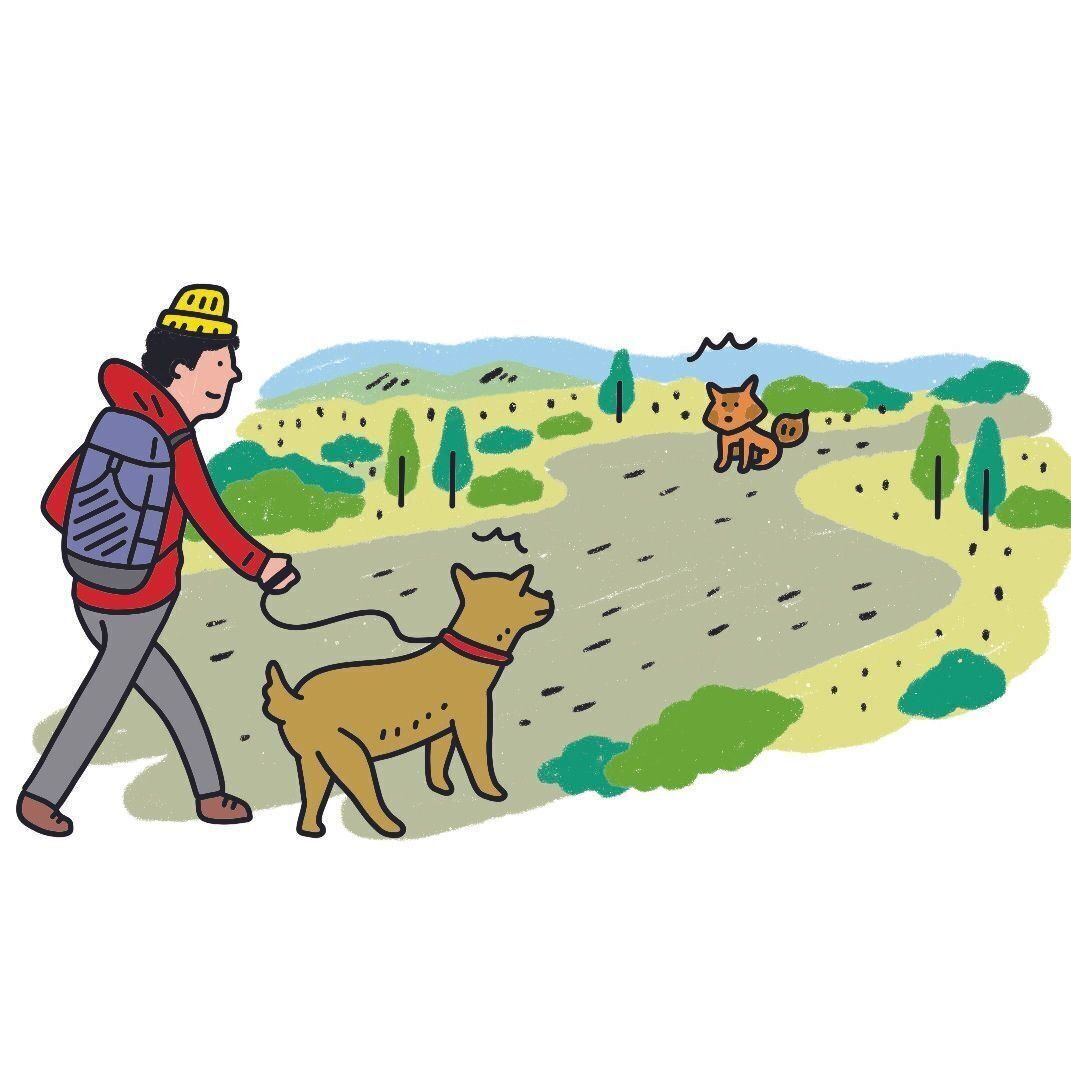 イラスト／ナカオテッペイ