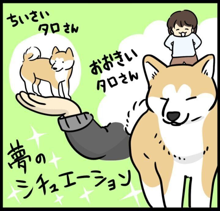 taro様専用 （taro.様専用☆［いちご泥棒］被布3点セットꕤ