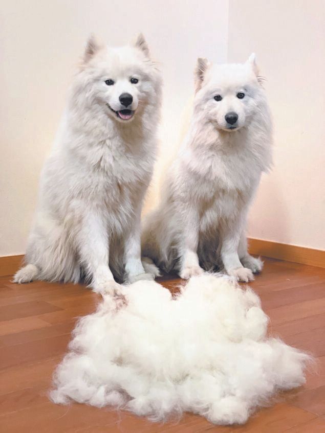 写真提供／Hさん