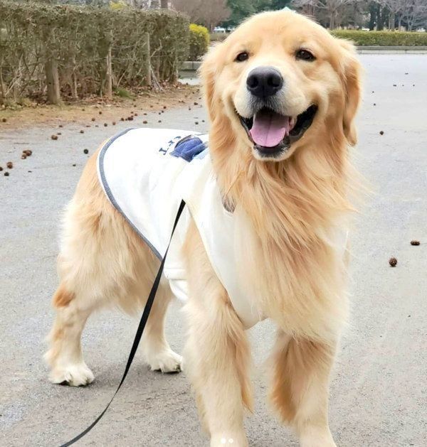 笑顔を見せるアランくん