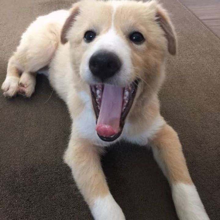 E5obtkc4wzdo M E5obtkc4wzdo M