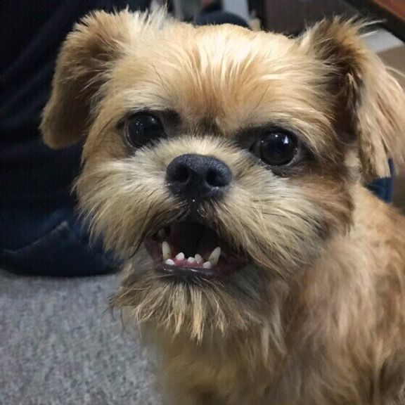 バドちゃん