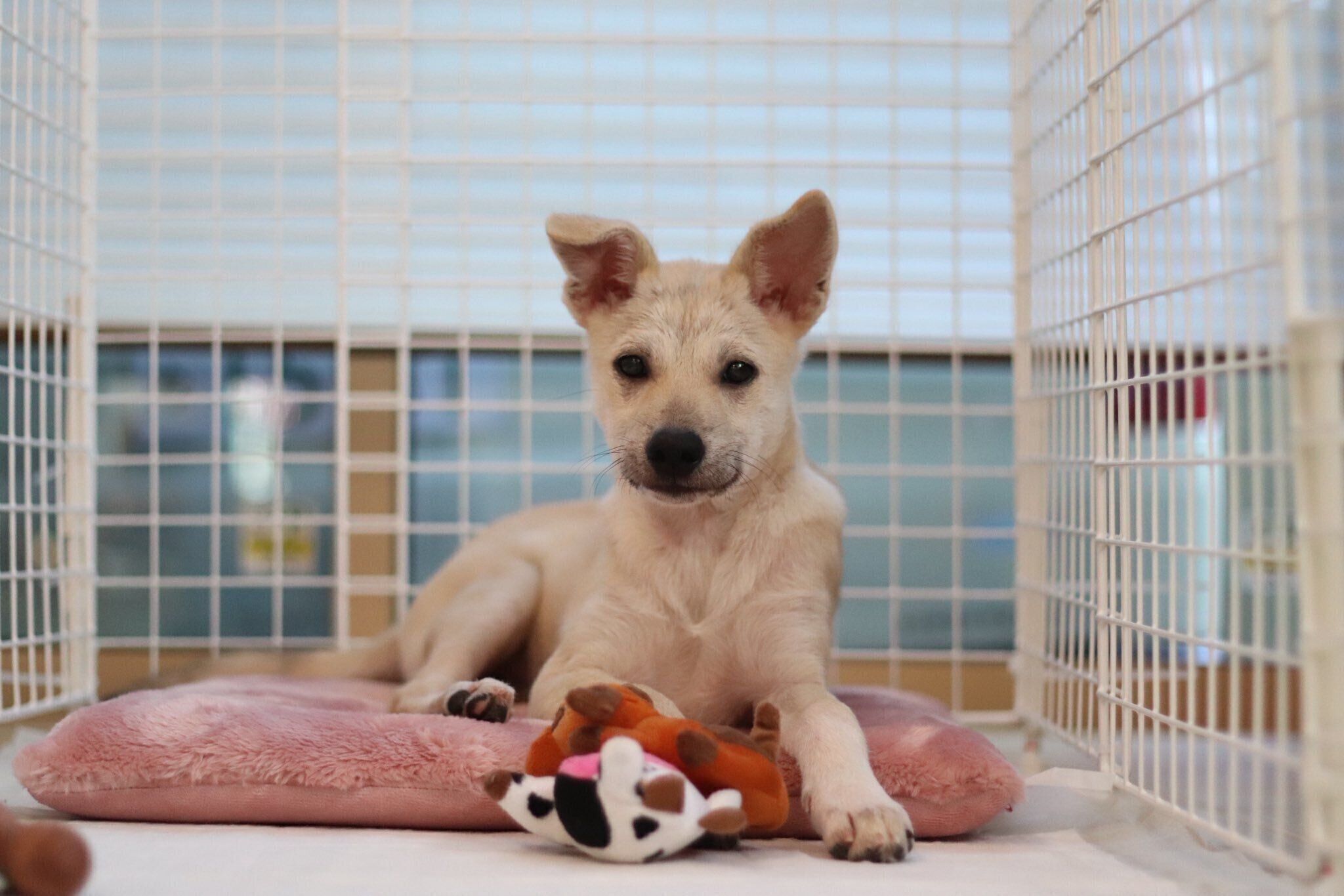 お迎え時の様子　かわいすぎる