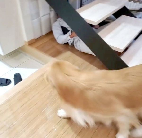 パパさんの帰宅を喜ぶアランくん