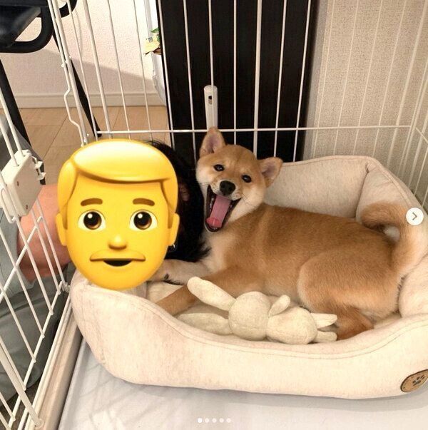 こたろうくんとパパさん