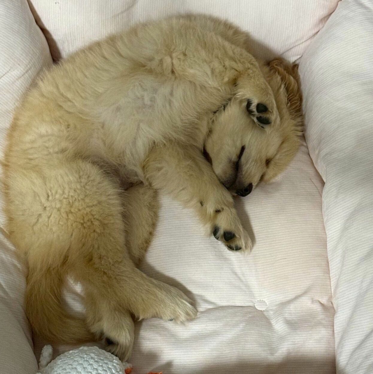 生後2カ月のころに撮影した陽南ちゃん