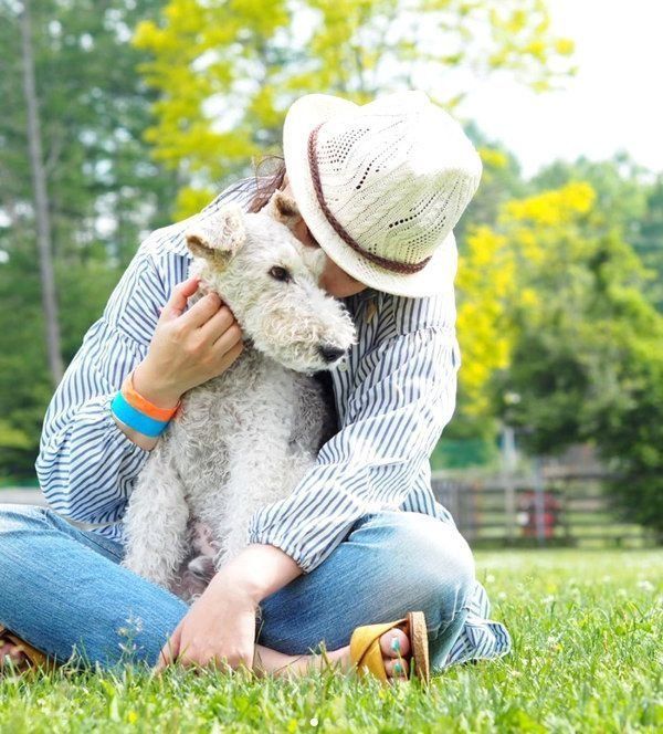 飼い主さんに寄り添うこっぺぱんちゃん