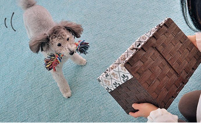 モッテキテチョーダイ遊び2