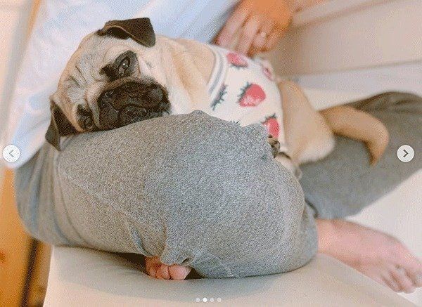 パパさんの足でくつろぐぱぐぞうくん