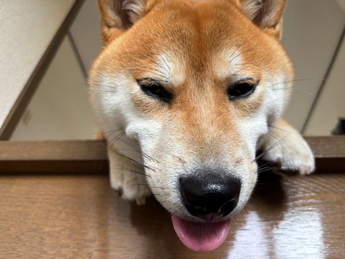 顔のドアップがキュート!