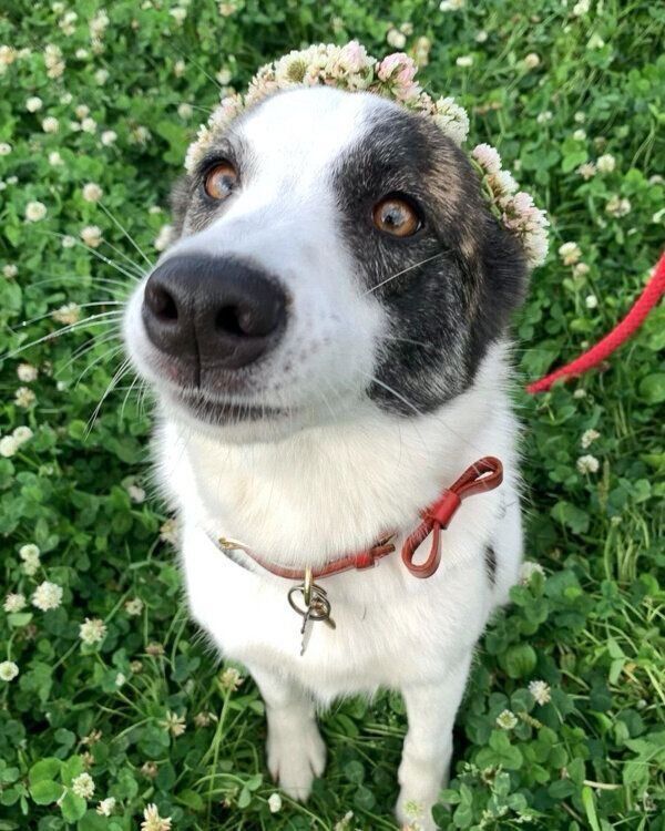 見つめるはるちゃん