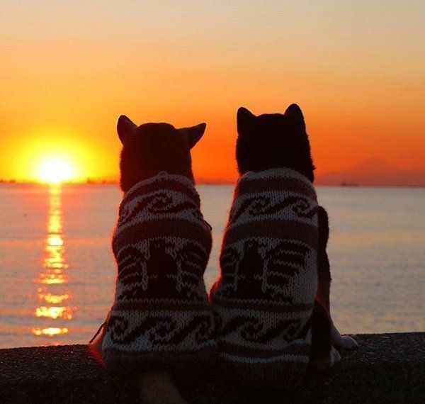 寄り添うゆりあちゃんとけんしろうくん