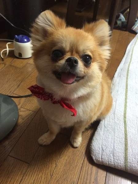 いつもニコニコのゆずちゃん