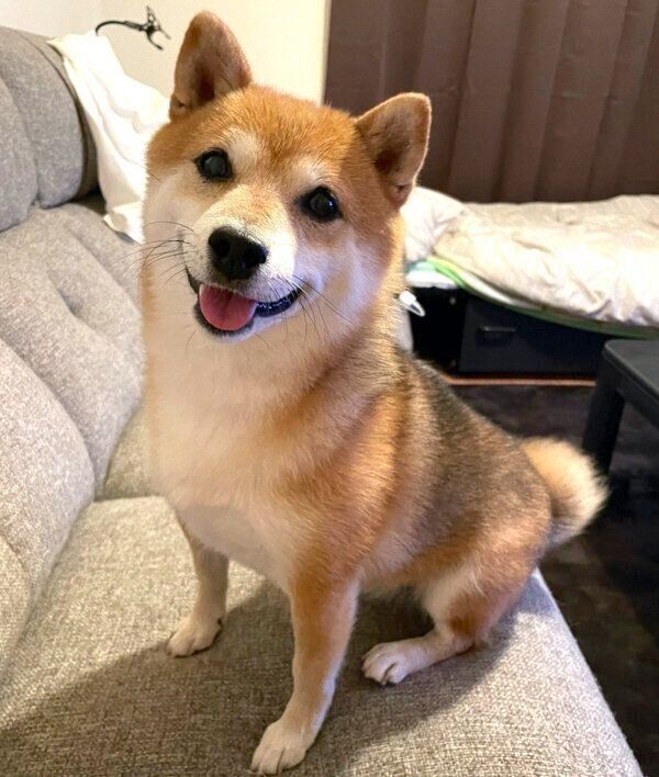 笑顔が可愛いクリ丸ちゃん