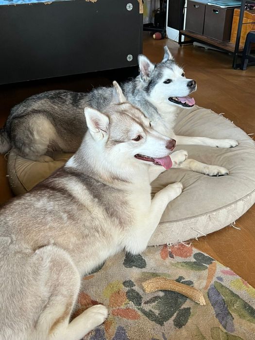 でもやっぱり仲良し!