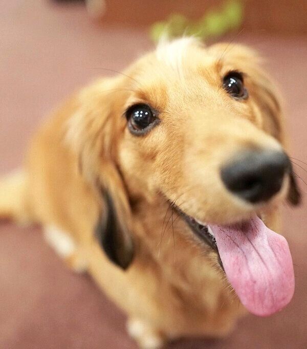 笑顔のハルくん