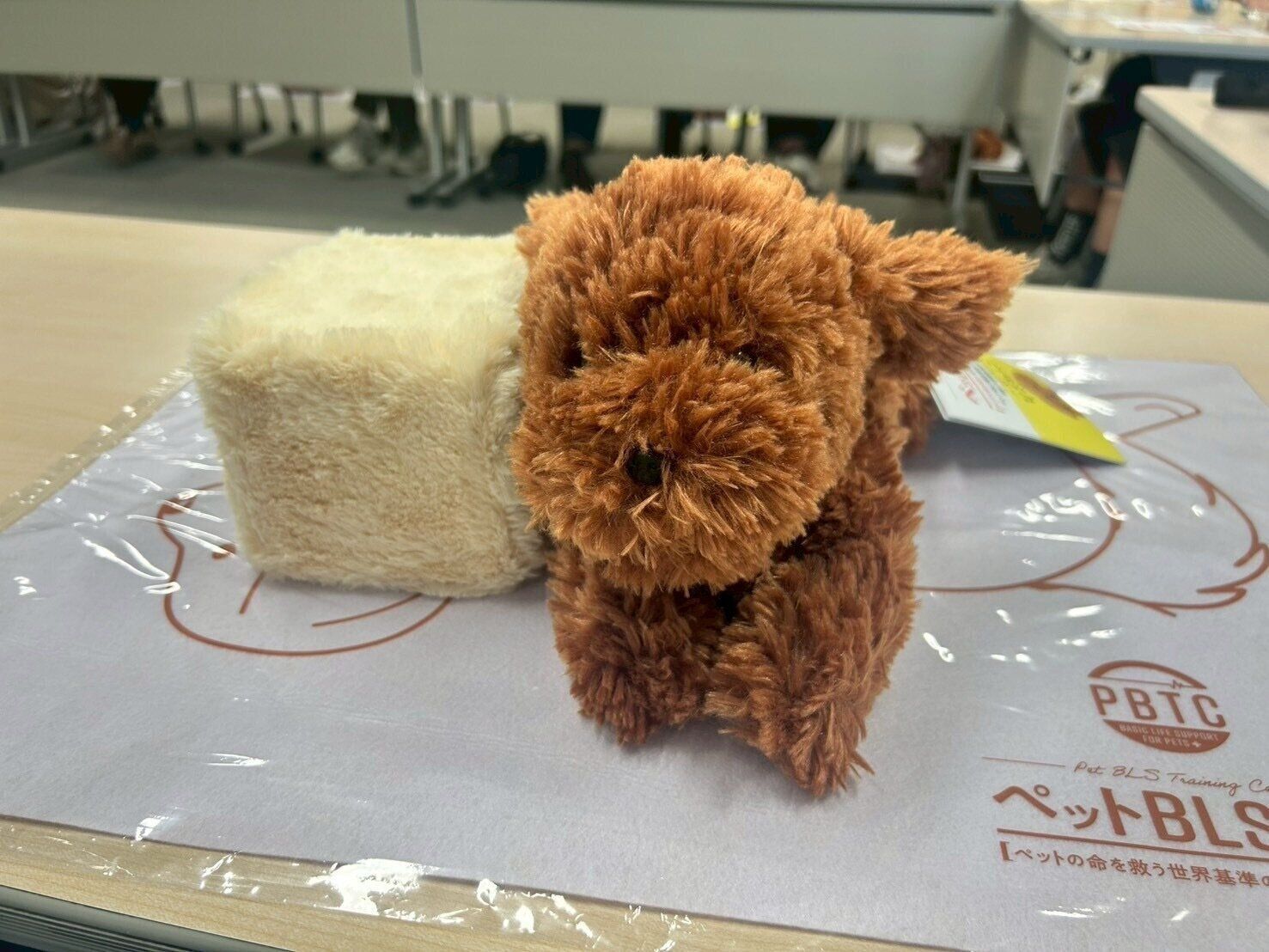特許を取った心肺蘇生講習用のぬいぐるみ