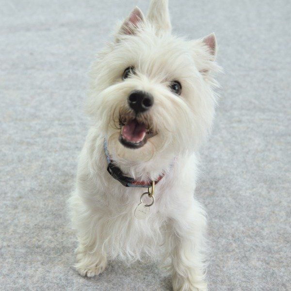 撮影／佐藤正之