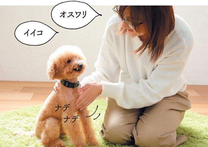 ほめるときに触れる