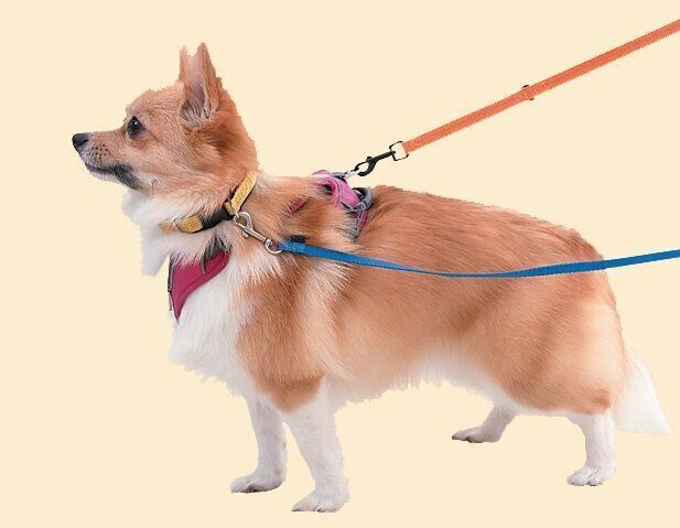 ダブルリードも効果的